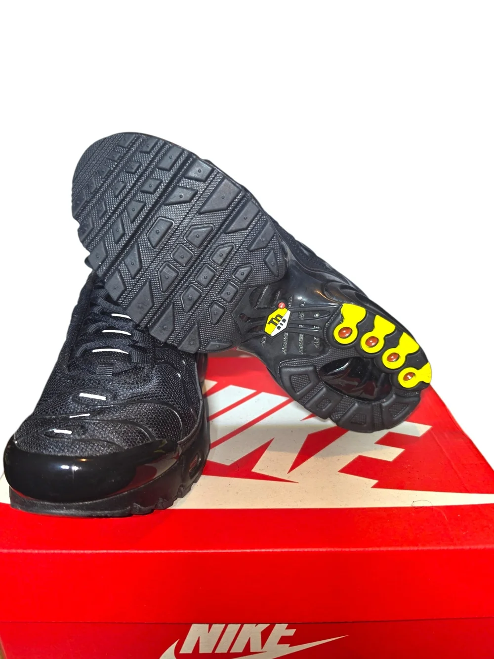 Nike Air Max Plus (GS) 